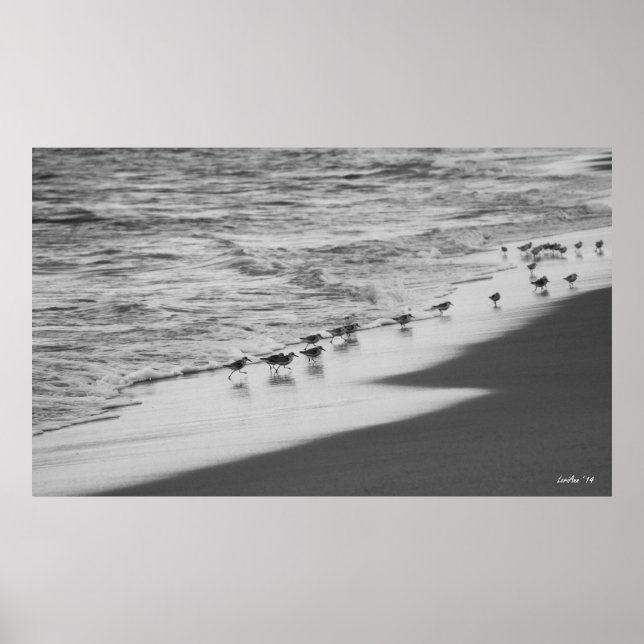 Póster Chasing Sandpipers (Frente)