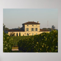 Chateau Lafleur Petrus y viñedos, en Pomerol