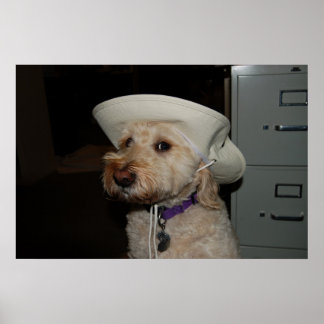 Póster chaz6