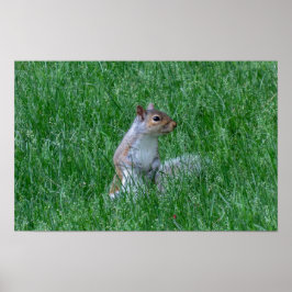 Póster Checking it Out