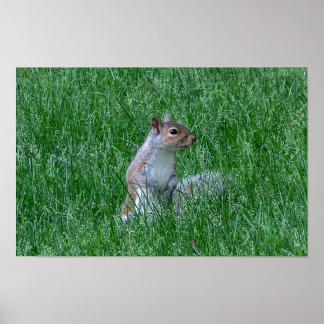 Póster Checking it Out (Frente)