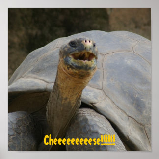 Póster Cheeeeeeeeese!!!!!!