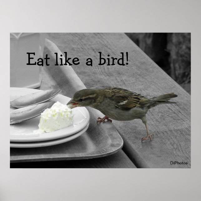 Póster Cheeky Sparrow Poster (Frente)
