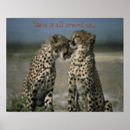 Póster Cheetah friends