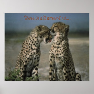 Póster Cheetah friends
