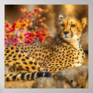 PÓSTER CHEETAH JUST CHILLIN