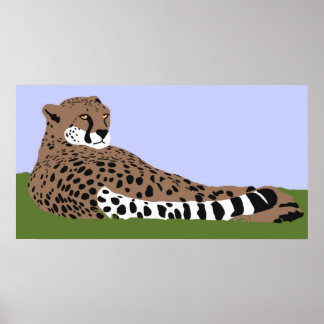 Póster cheetah looking and down poster