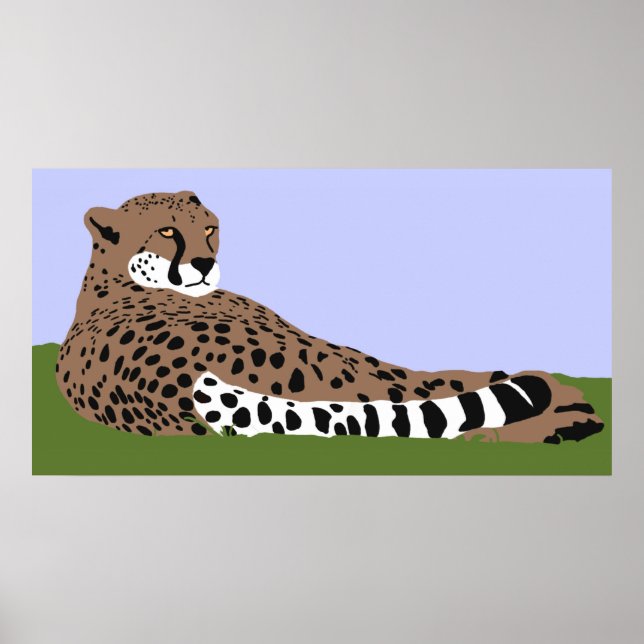 Póster cheetah looking and down poster (Frente)
