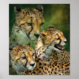 Póster Cheetah Moods Poster de arte/Imprimir
