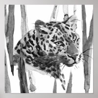 Cheetah Portrait