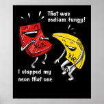 Póster Chemistry That Was Sodium Funny Science Joke<br><div class="desc">Chemistry That Was Sodium Funny Science Joke design for chemistry lovers.</div>