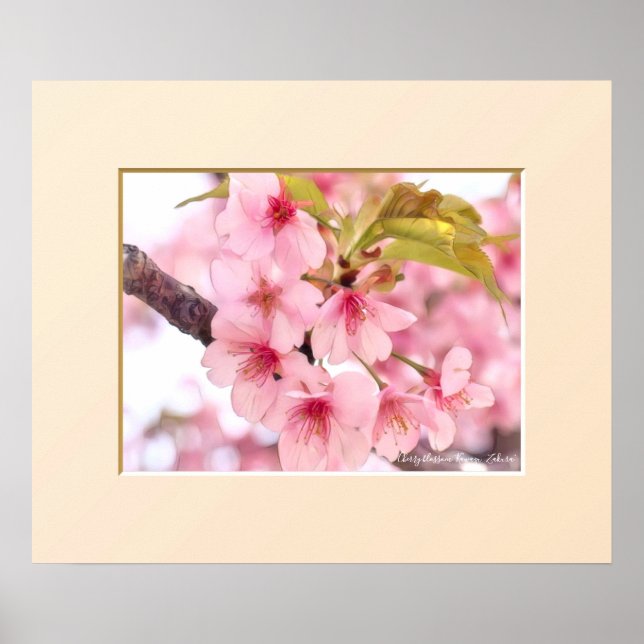 Póster Cherry blossom "Kawazu-Zakura" (Frente)