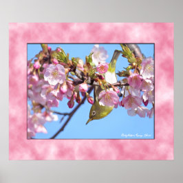 Póster Cherry blossom "Kawazu-Zakura" ポスター