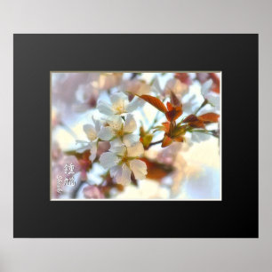 Póster Cherry Blossom: Shouki