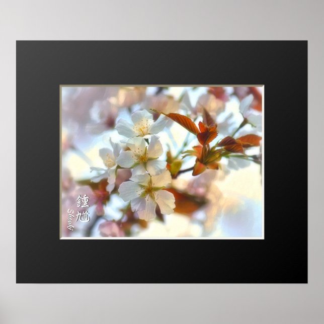 Póster Cherry Blossom: Shouki (Frente)