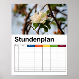 Póster Cherry Blossom Stundenplan