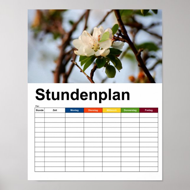 Póster Cherry Blossom Stundenplan (Frente)