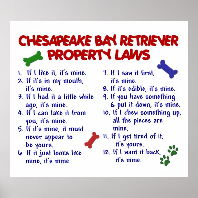 PÓSTER CHESAPEAKE BAY RETRIEVE PL2 (Frente)