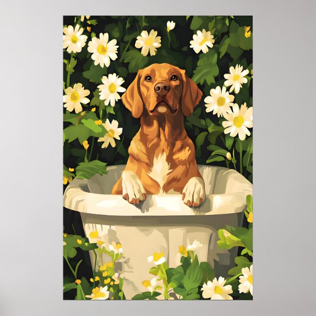 Póster Chesapeake Bay Retriever In Bathtub Poster, Funny (Frente)