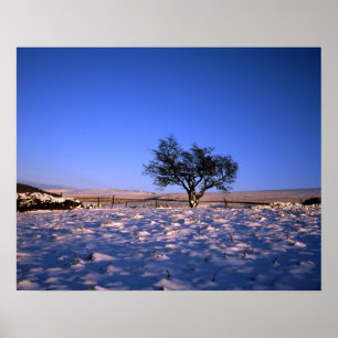 Póster Cheshire Postcard de invierno de Hawthorn