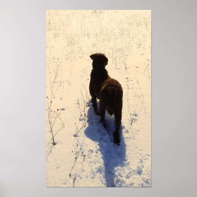 Póster Chessie Poster (Frente)