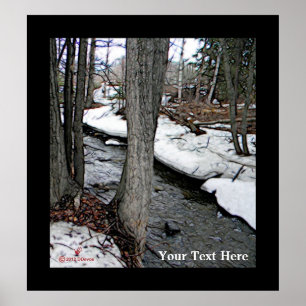 Póster Chester Creek