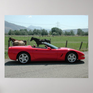 Póster Chevrolet Corvette convertible C5