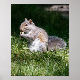 Póster Chewing on it