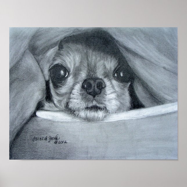 Póster Chi tiempo de recorte (Frente)