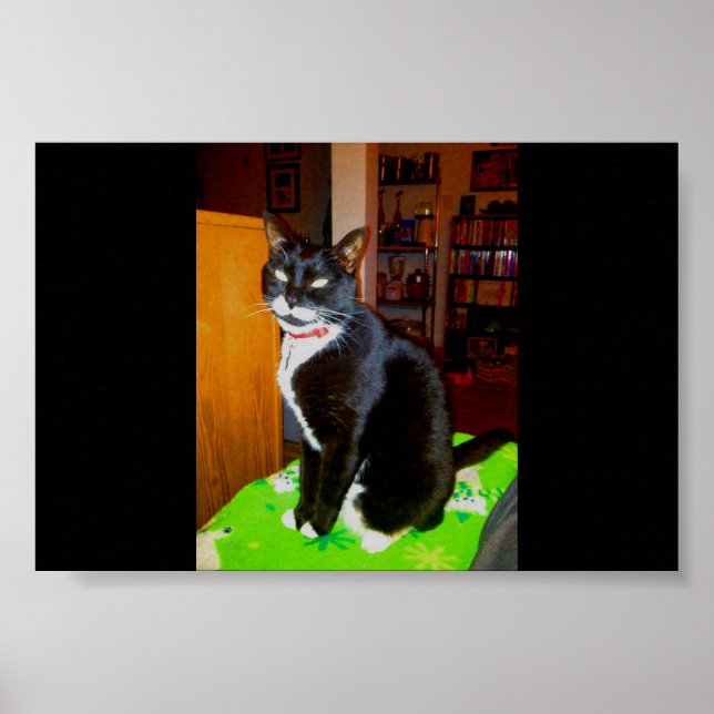 Póster Chica bonito Lucy (Frente)