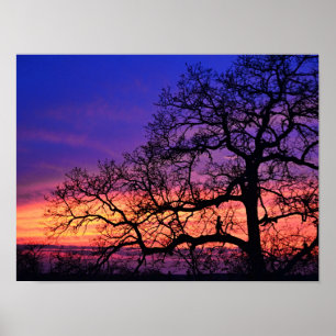 Póster Chica de hadas Poster de sol de árbol simulado