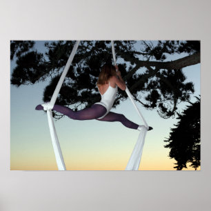 Póster Chica en árbol suspendido con seda aérea