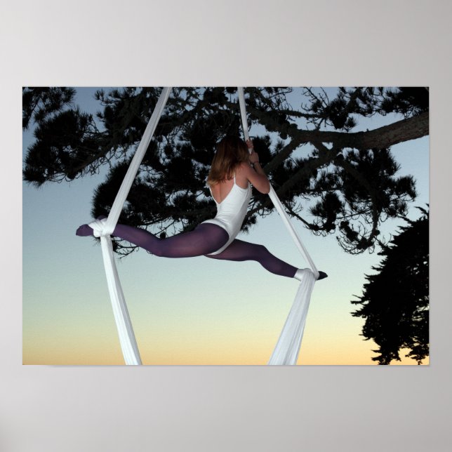 Póster Chica en árbol suspendido con seda aérea (Frente)