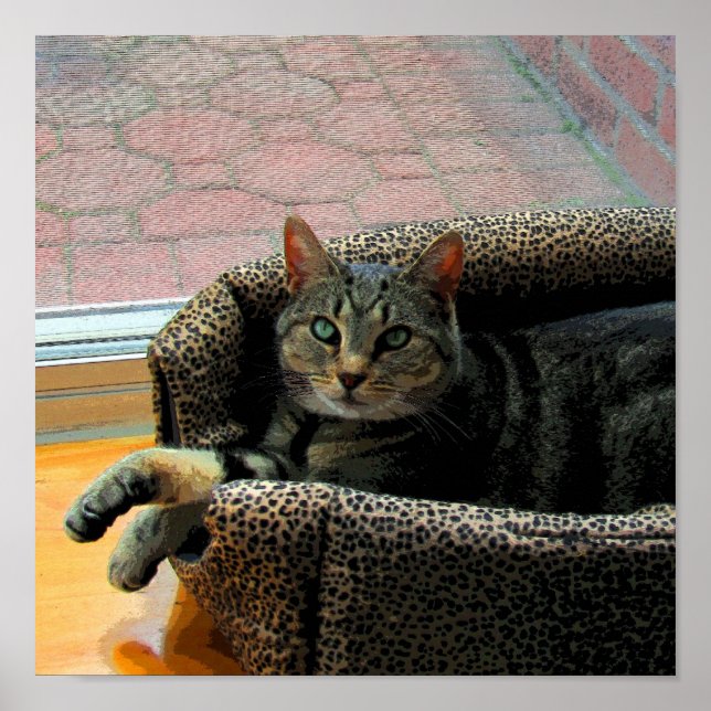 Póster Chica Indigo CB (Frente)