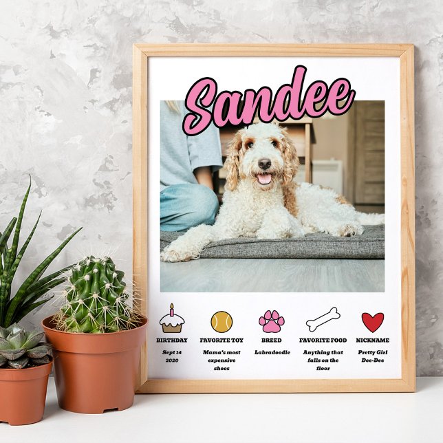 Póster Chica Rosa Personalizado Sobre La Foto De Perro (Subido por el creador)
