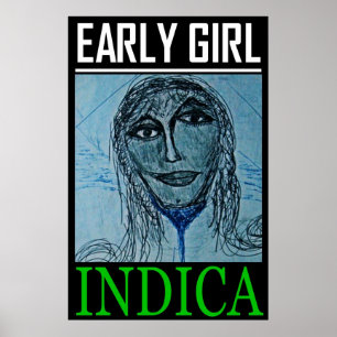 PÓSTER CHICA TEMPRANA INDICA