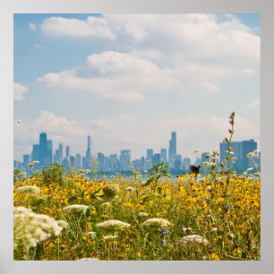 Póster Chicago según lo visto del pájaro del puerto de