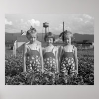 Chicas agrícolas, 1939. Foto de cosecha de vintage