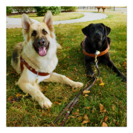 Póster Chicas de trabajo