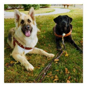 Póster Chicas de trabajo