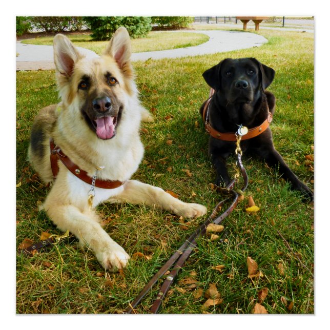 Póster Chicas de trabajo (Anverso)