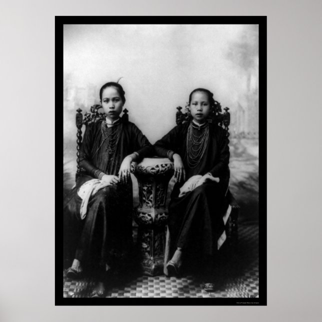 Póster Chicas de Vietnam 1903 (Frente)