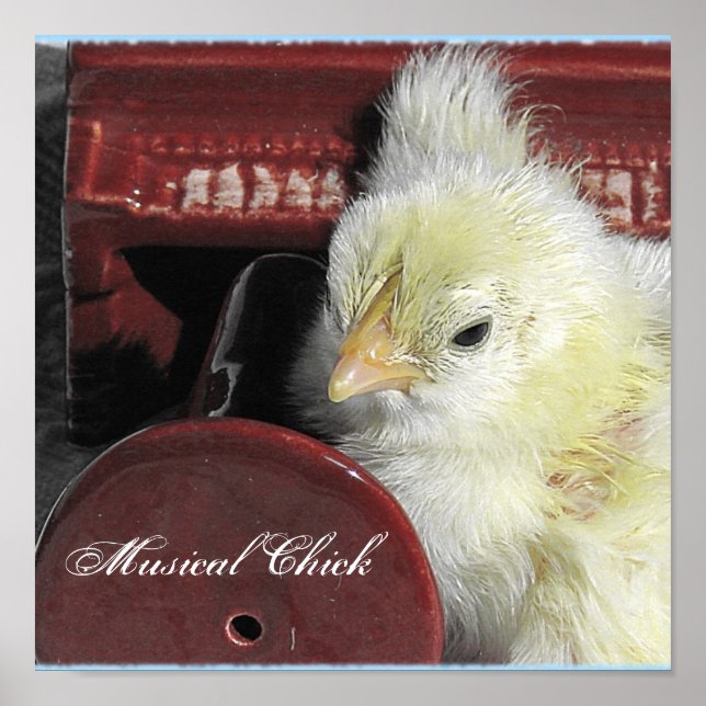 Póster Chick musical (Frente)