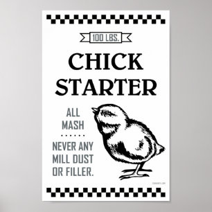 PÓSTER CHICK STARTER