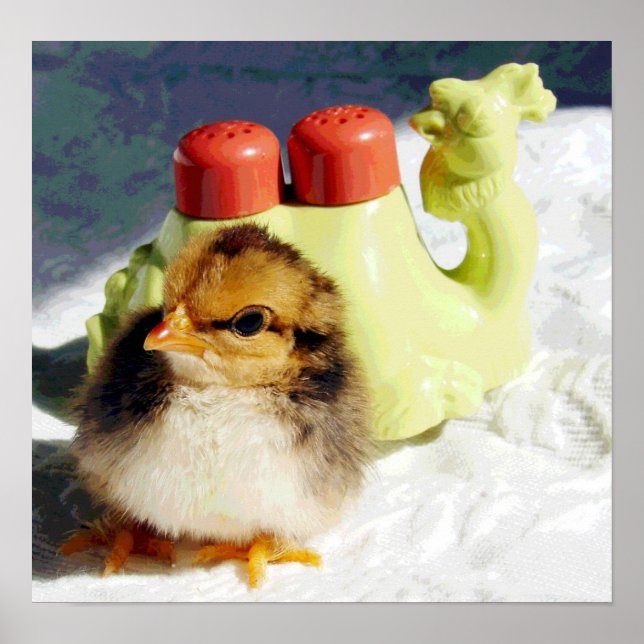 Póster Chick y camello (Frente)