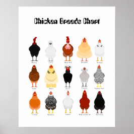 Póster chicken breeds chart