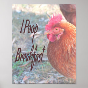 Póster Chicken I poop Breakfast Funny Humor