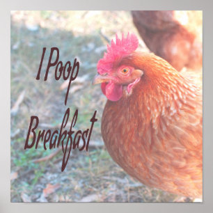 Póster Chicken I poop Breakfast Funny Humor