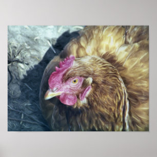 PÓSTER CHICKENS