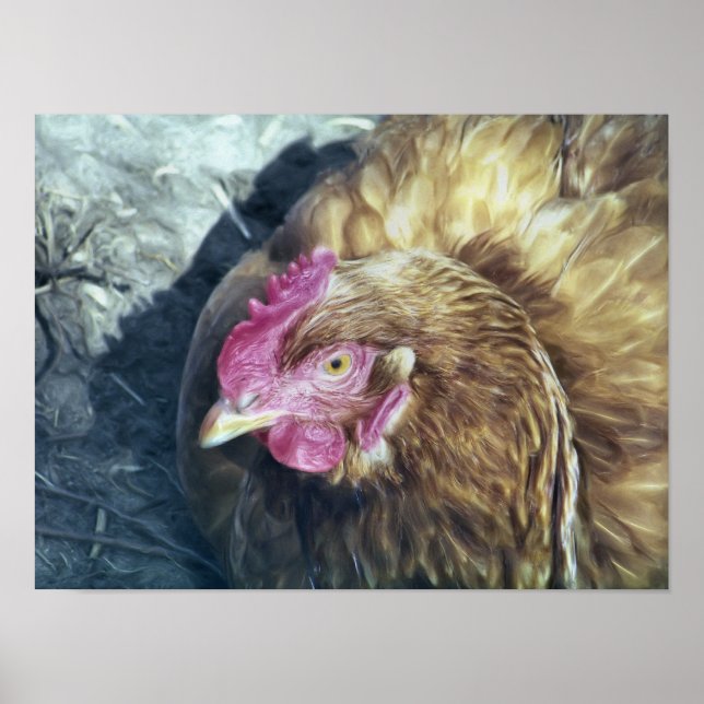 PÓSTER CHICKENS (Frente)